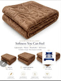 1ply Blanket