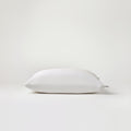 Standard Pillows x 2