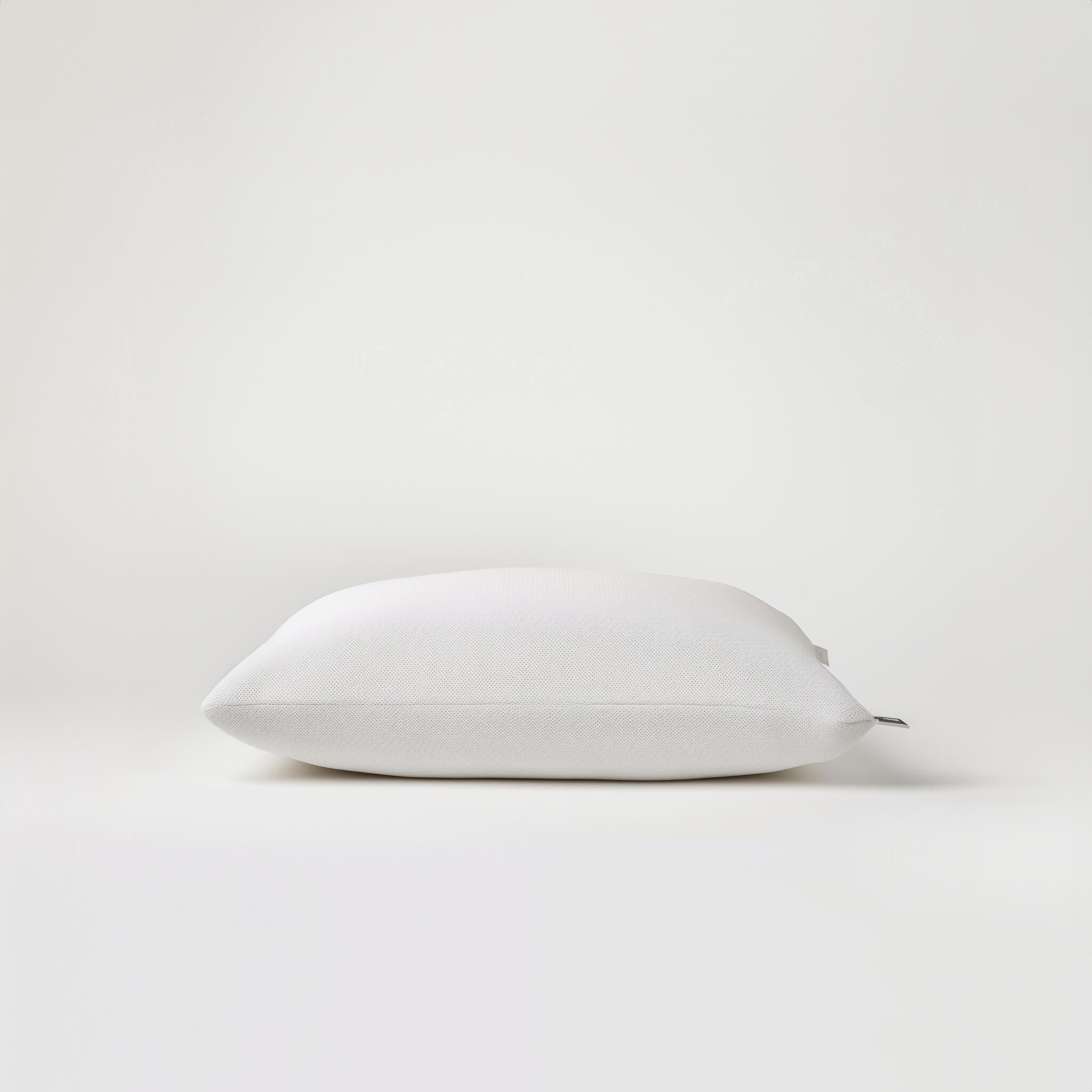 Standard Pillows x 2